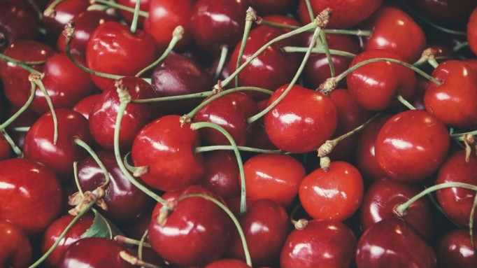 Aste da capogiro in Giappone, tonno e ciliegie diventano simboli globali del lusso