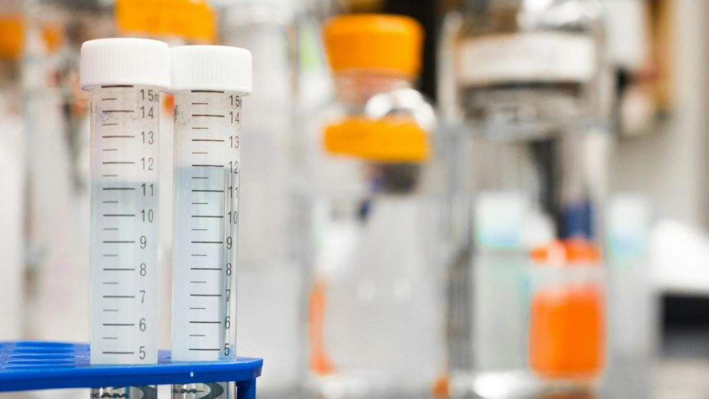 Dall’aria all’acqua: la Sapienza partecipa al Nobel per la Chimica 2025