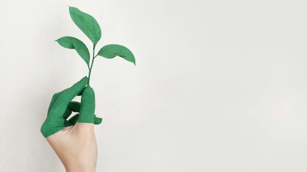 La green economy prende forma tra riciclo e innovazione