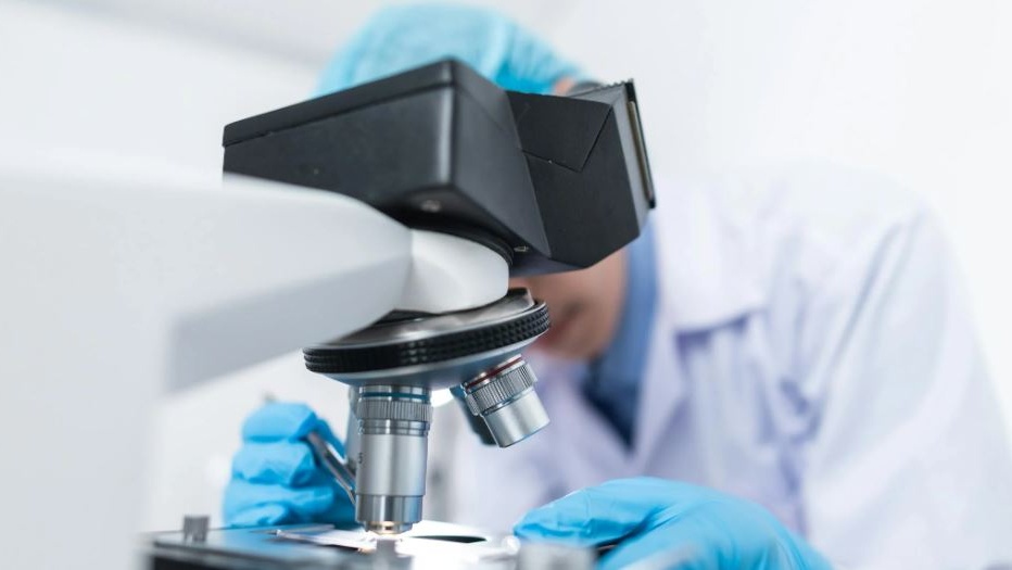 Dai laboratori italiani una svolta quantistica, nuove frontiere tecnologiche dalla fisica dei superfluidi