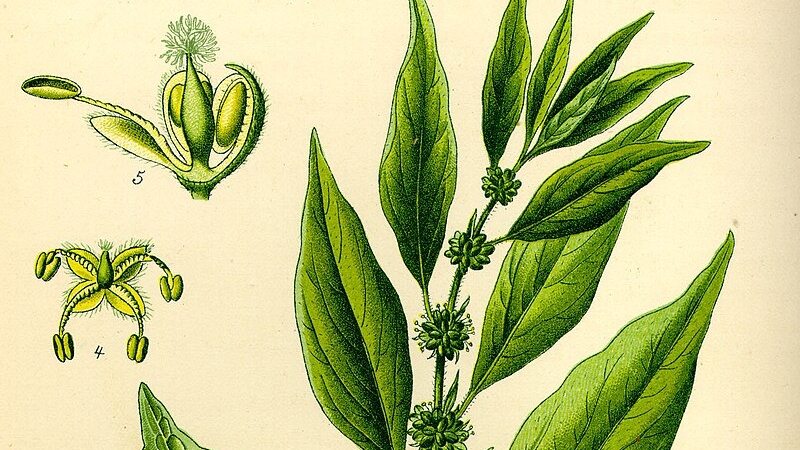 Allergie, arriva la strategia invisibile