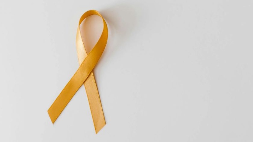 Morta a 14 anni Zuza Beine, ha raccontato sui social, a milioni di fans, la sua battaglia contro la leucemia