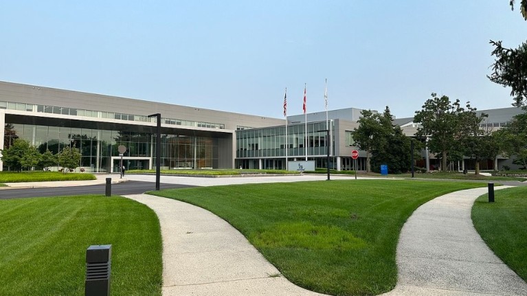 Farmaci anti-obesità, Usa: Novo Nordisk lancia pillola giornaliera Wegovy