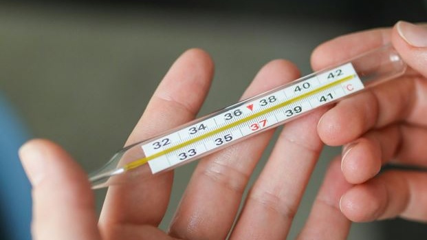 Come mai c'è gente che non si ammala mai? La risposta è nel sistema immunitario