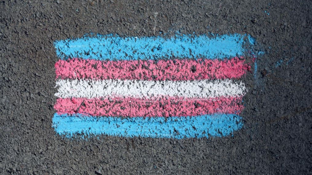 Usa: la classificazione sanitaria solo in maschie e femmine danneggerà le persone transgender