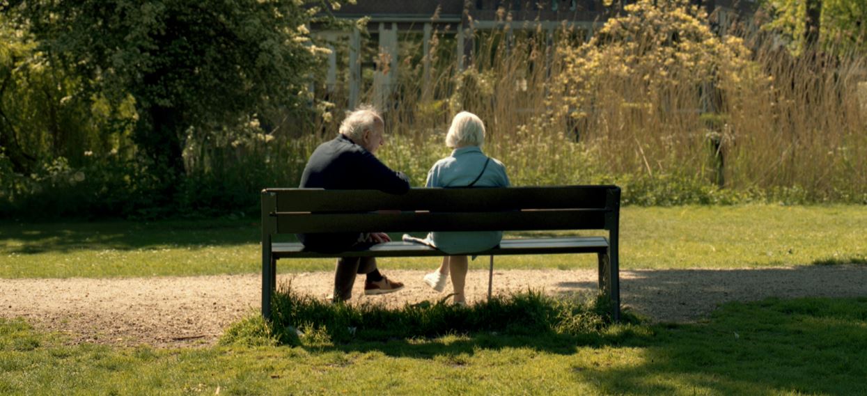 Alzheimer: l'estrogeno potrebbe spiegare perché le donne sviluppano la malattia più degli uomini
