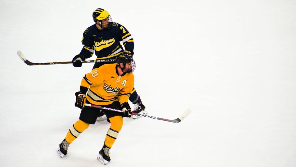Hockey su ghiaccio: lo sport cool che conquista sempre più fan