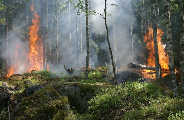 WildFireSat: il Canada lancia satelliti contro gli incendi