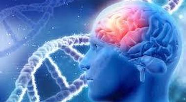 Un prelievo di sangue per identificare specifiche alterazioni cerebrali alla base della sindrome di Down