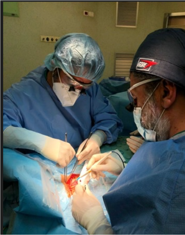 Chirurgia vascolare, tra prevenzione e innovazione tecnologica