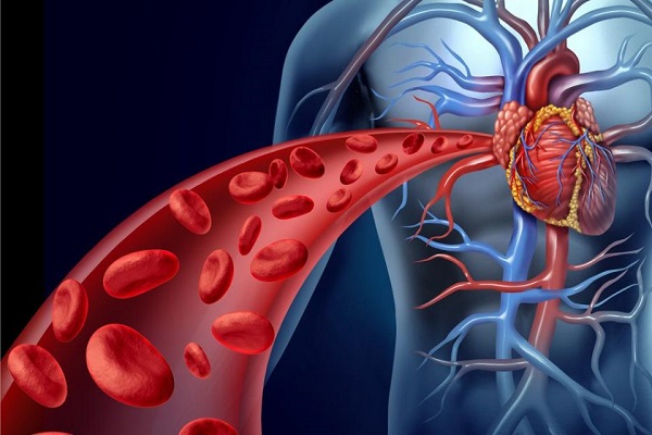 Cardiopatia ischemica: il ruolo degli ormoni sessuali