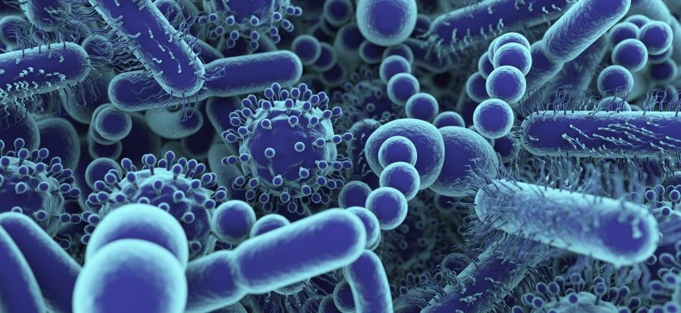 SLA E MICROBIOTA INTESTINALE , LO STUDIO
