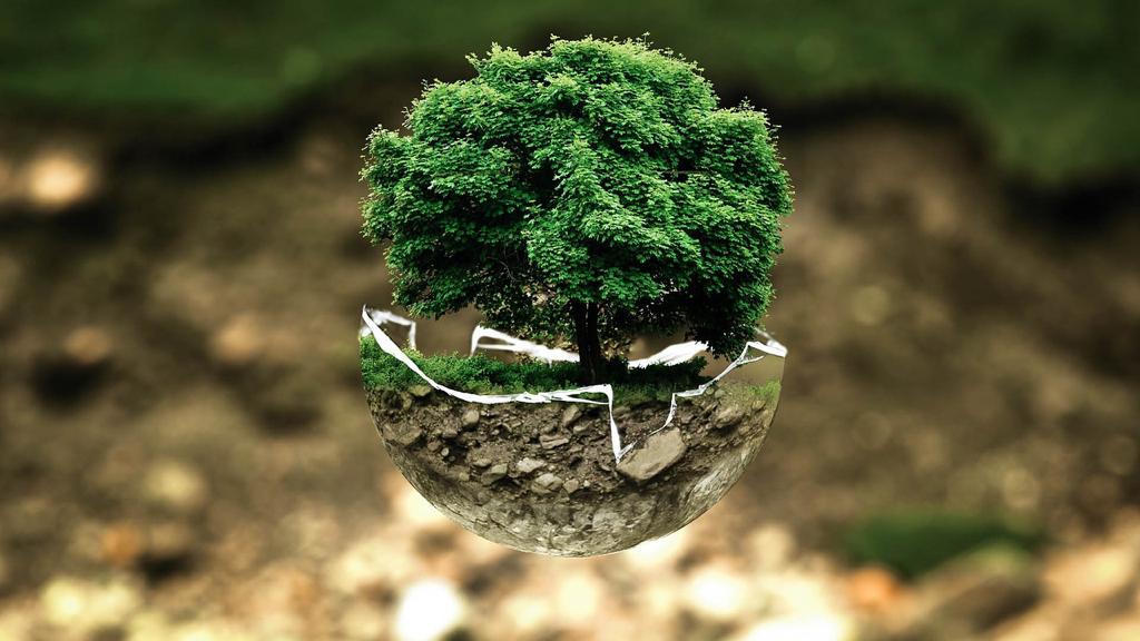 GIORNATA MONDIALE DELLA BIODIVERSITÀ: EUROPA LEADER NELLA RICERCA
