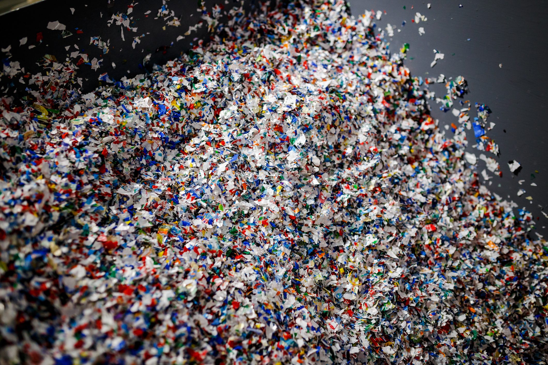 MICROPLASTICHE: NATI ECOSISTEMI AI POLI