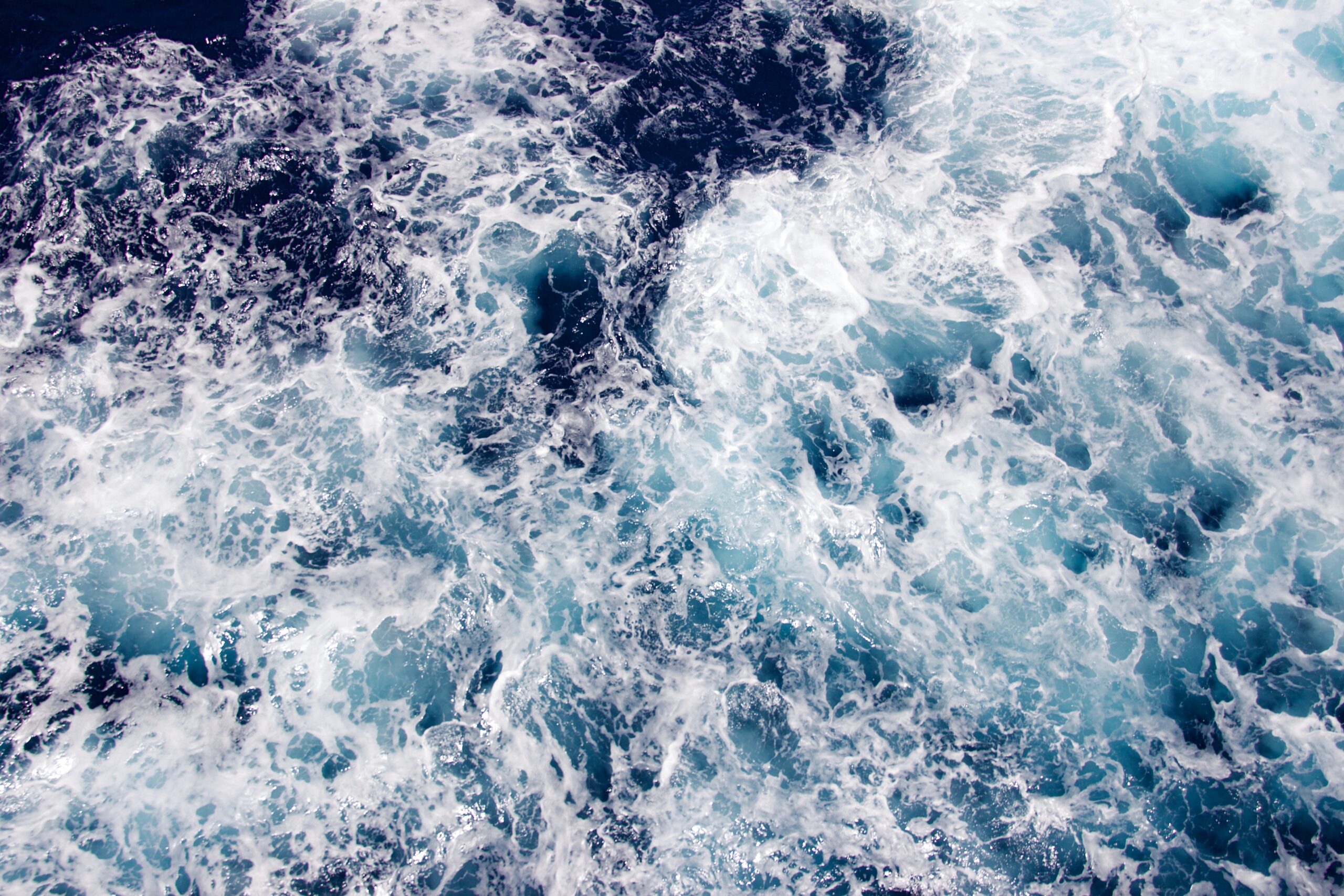 IL MARE È MALATO PER MANO DELL’UOMO