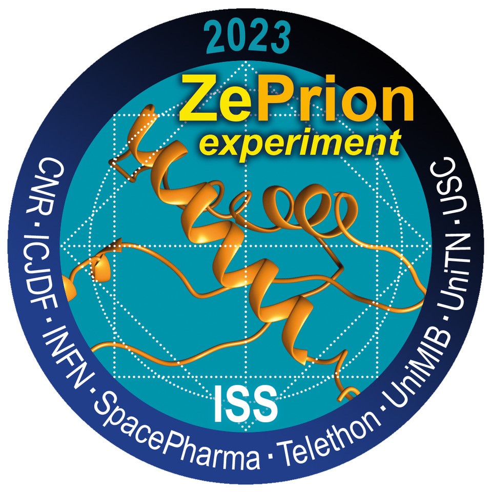 LANCIATO NELLO SPAZIO L'ESPERIMENTO ZEPRION