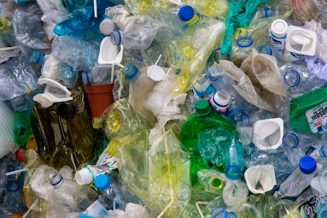 LE MICROPLASTICHE MINACCIANO ANCHE LA FERTILITÀ FEMMINILE