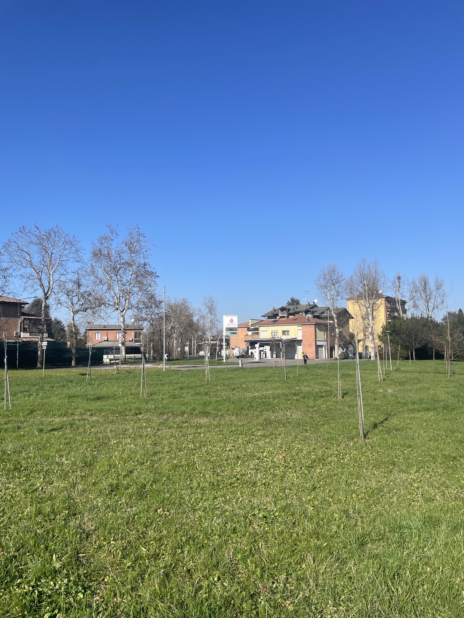 Riforestazione urbana a Spilamberto (Mo): nasce “Verde 21” la cui impronta ecologica è certificata dal CNR 