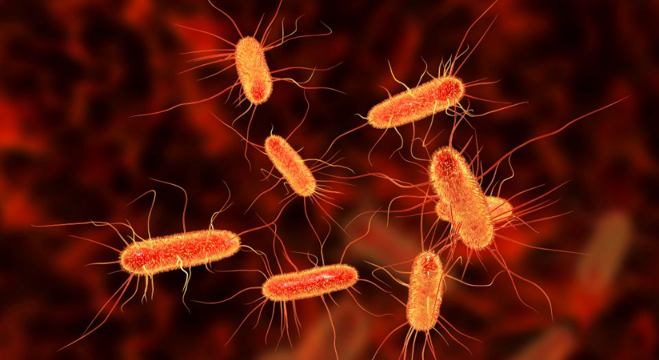 Scoperta la possibile causa del tumore al colon retto tra gli under 50