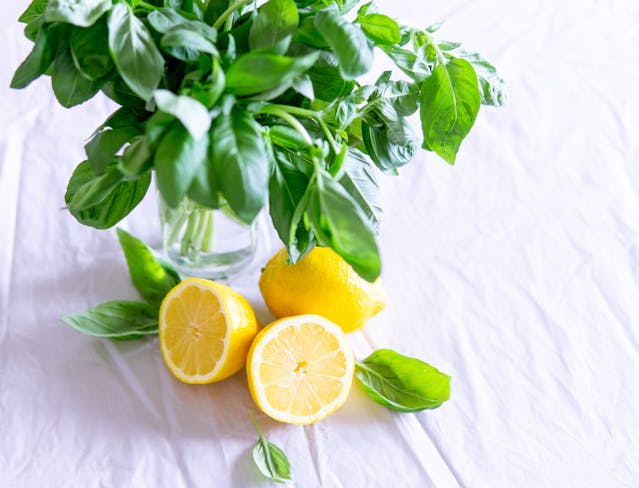 Dalla nuova edizione de “i Limoni per la ricerca®”più di 172.000 euro a sostegno della ricerca scientifica d’eccellenza