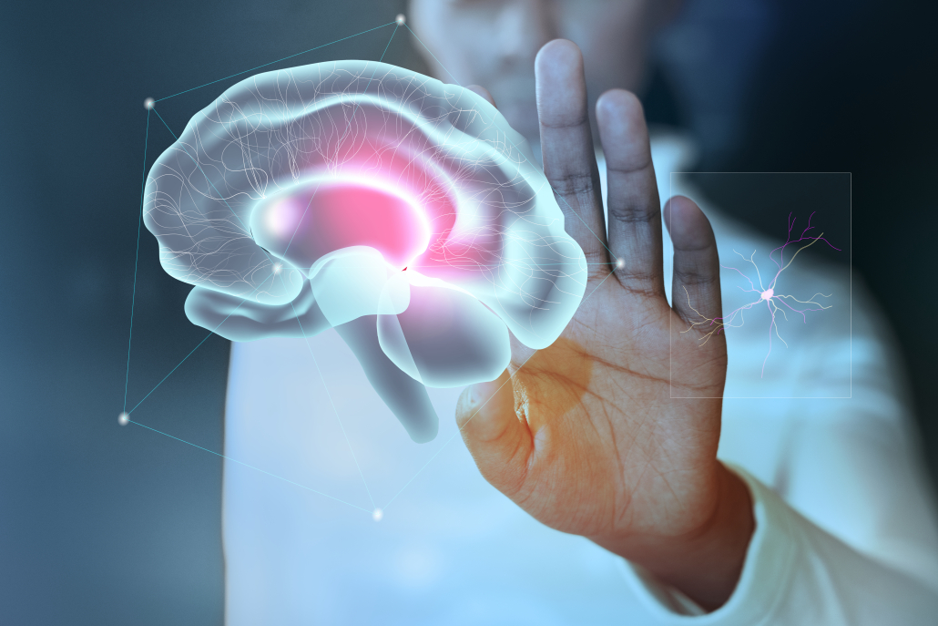 Alzheimer: dalla polvere di ciliegie una speranza per proteggere dal morbo