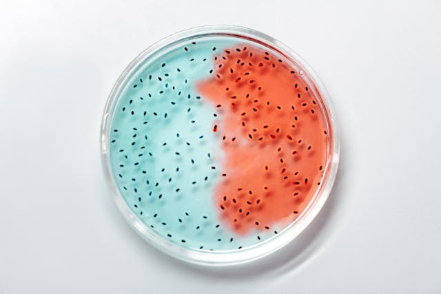 Gli antibiotici non sono la soluzione per tutte le malattie