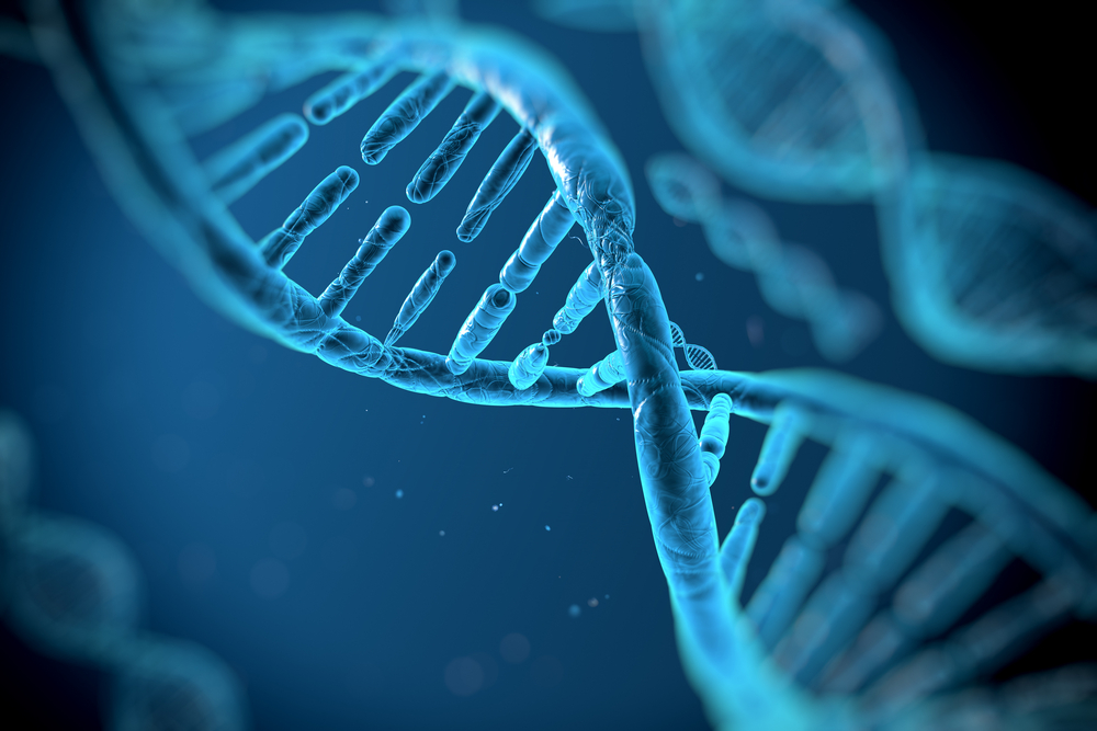 Terapia genica efficace contro il LAD-1