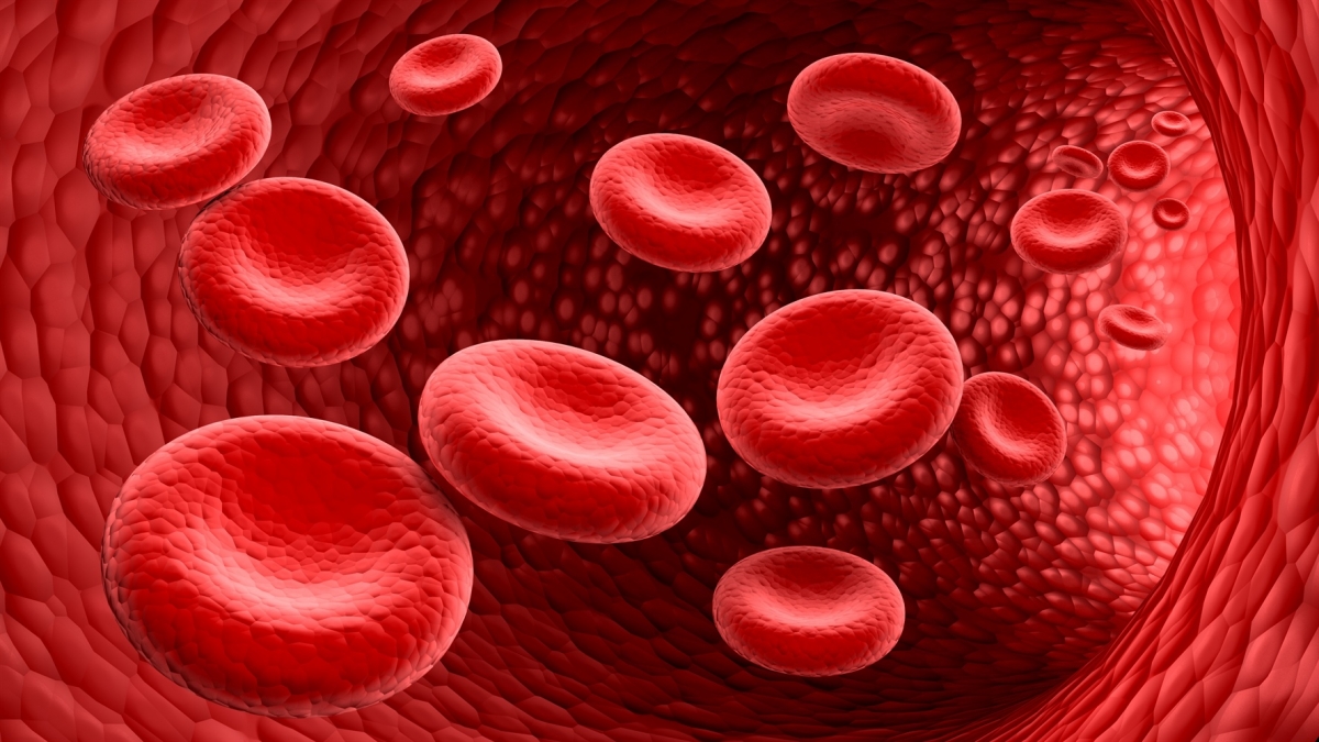 Talassemia: Ferrara in prima linea con l’Associazione ALT Rino Vullo per la Giornata Mondiale
