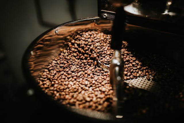 Il caffè allunga la vita? Berne 1-3 al giorno può favorire un invecchiamento sano