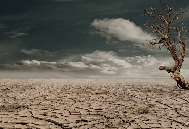 Clima subtropicale sull’Italia: temperature record e notti tropicali pericolose