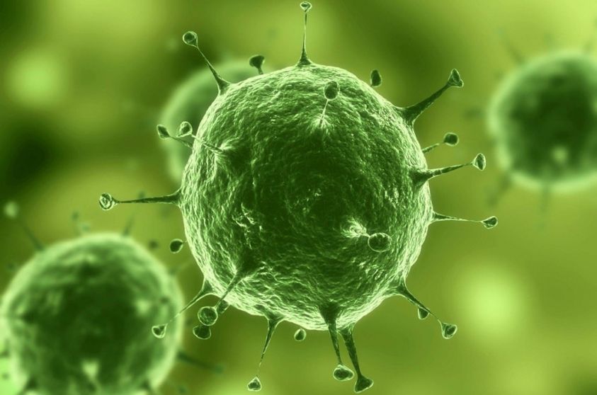 Si possono eliminare le epatiti virali?