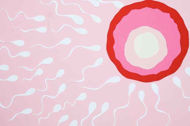 Microplastiche nei liquidi riproduttivi umani: nuova allerta per la salute e la fertilità