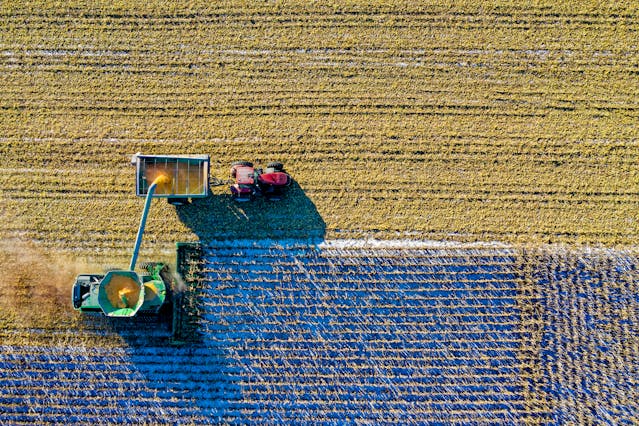 Mercati agricoli UE: resilienza estiva nonostante tensioni geopolitiche
